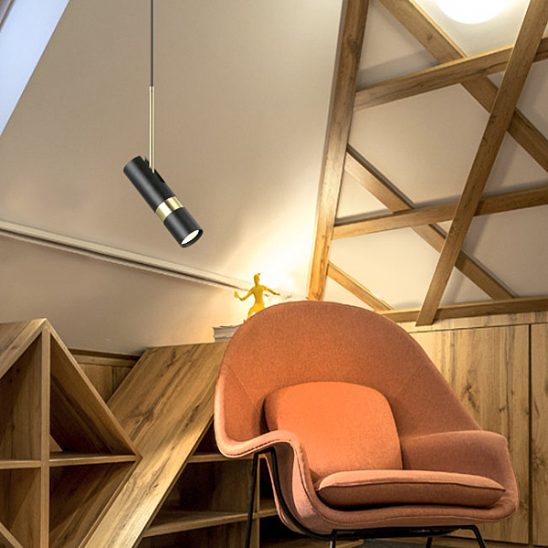 Светильник подвесной Sauris LH8020/1P-BK-GD