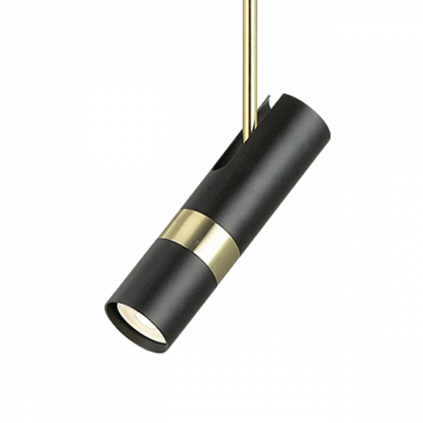 Светильник подвесной Sauris LH8020/1P-BK-GD