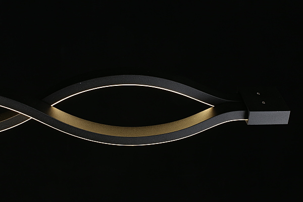 Потолочная люстра Nadayn APL.002.12.36