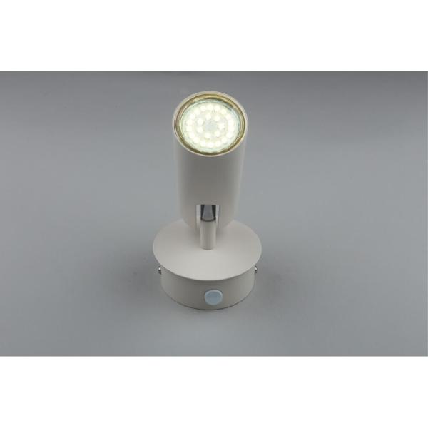 Светильник спот Rein APL.004.01.01