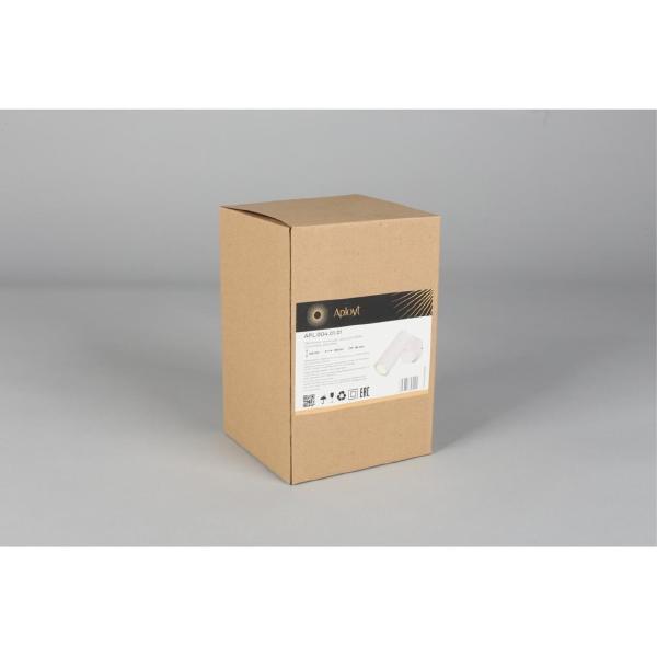 Светильник спот Rein APL.004.01.01