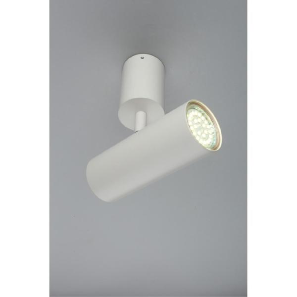 Светильник спот Berenis APL.007.02.01