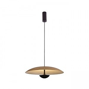 Светильник подвесной Arta 8007/1PL-WD