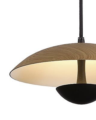 Светильник подвесной Arta 8007/1PS-WD