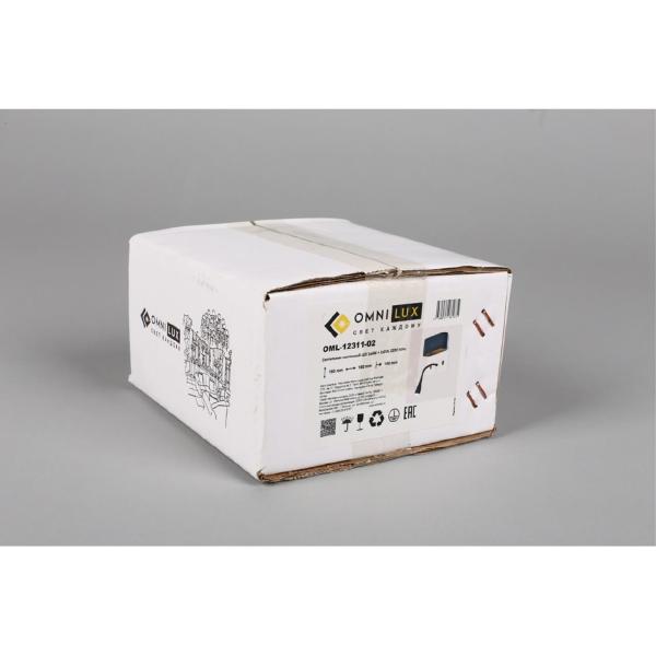 Настенный светильник Rocchette OML-12311-02