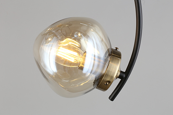 Потолочная люстра Moncalvo OML-95307-06