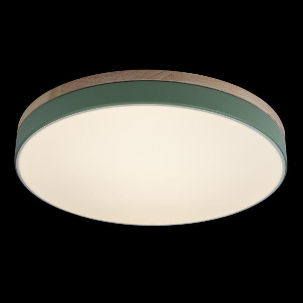 Светильник потолочный Axel 10001/36 Green
