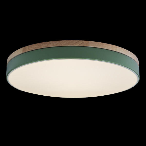 Светильник потолочный Axel 10001/36 Green
