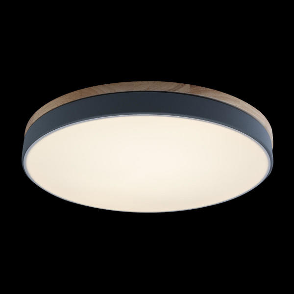 Светильник потолочный Axel 10001/36 Grey