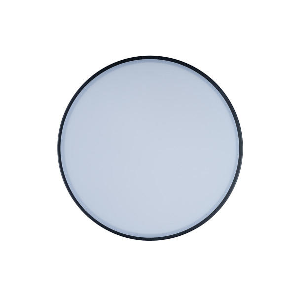 Светильник потолочный Axel 10002/12 Black