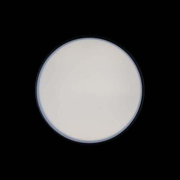 Светильник потолочный Axel 10002/12 Black