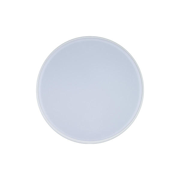 Светильник потолочный Axel 10002/12 White