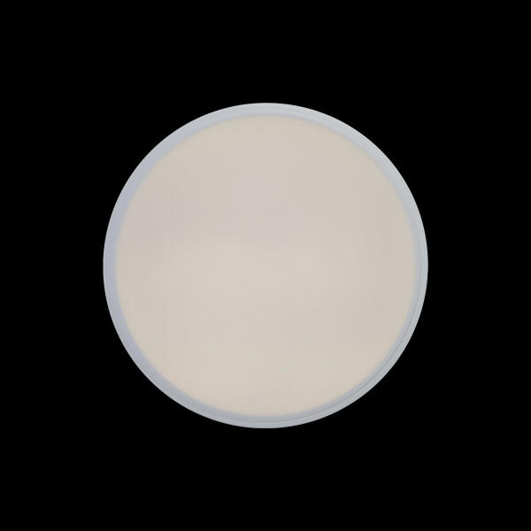Светильник потолочный Axel 10002/12 White