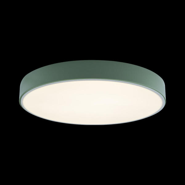 Светильник потолочный Axel 10002/24 Green