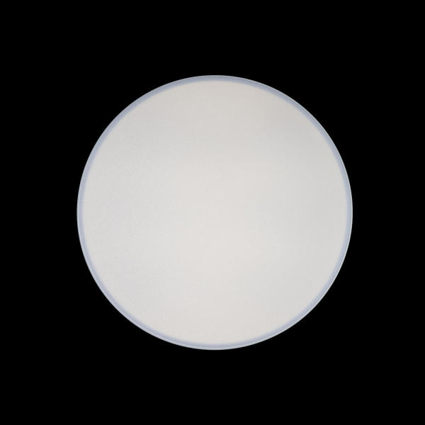 Светильник потолочный Axel 10002/24 White