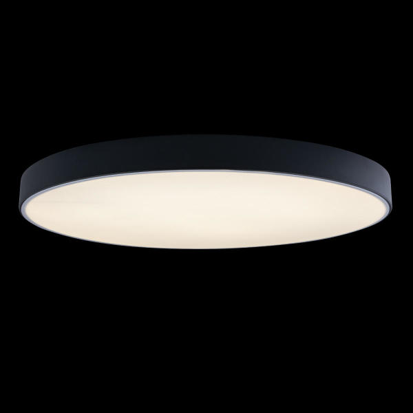 Светильник потолочный Axel 10002/48 Black