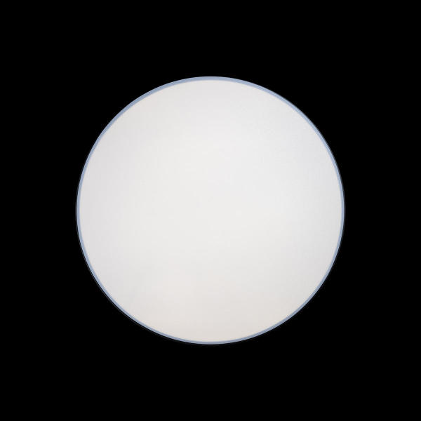 Светильник потолочный Axel 10002/48 Black