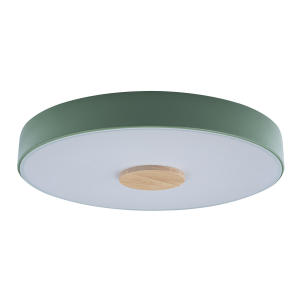 Светильник потолочный Axel 10003/24 Green