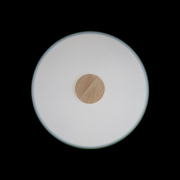 Светильник потолочный Axel 10003/24 Green