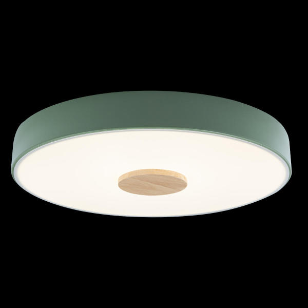 Светильник потолочный Axel 10003/24 Green