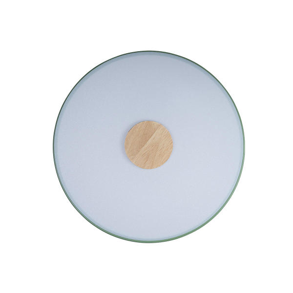 Светильник потолочный Axel 10003/24 Green