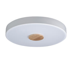 Светильник потолочный Axel 10003/24 White