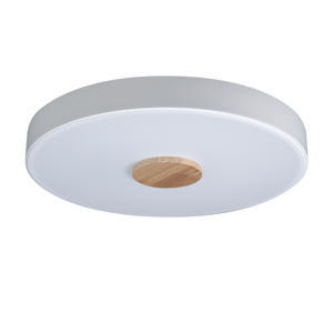 Светильник потолочный Axel 10003/24 White