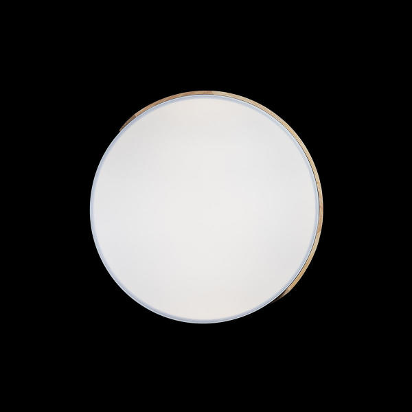 Светильник потолочный Axel 10004/36 White