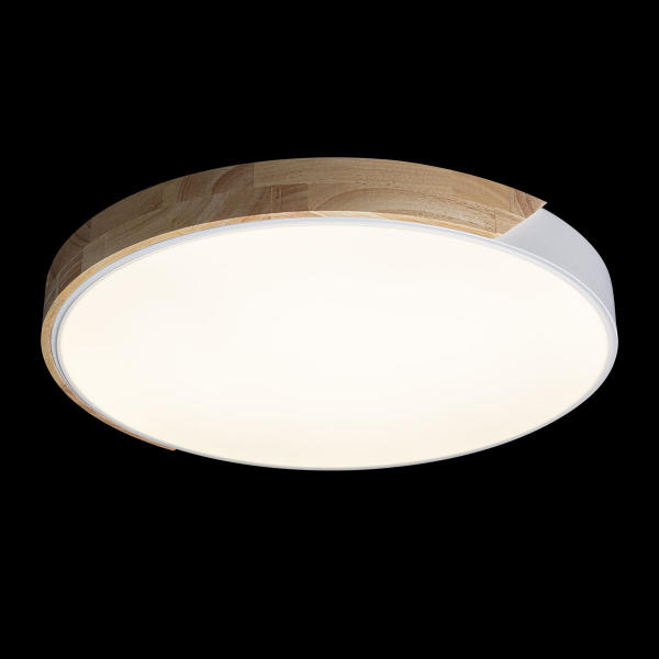 Светильник потолочный Axel 10004/36 White