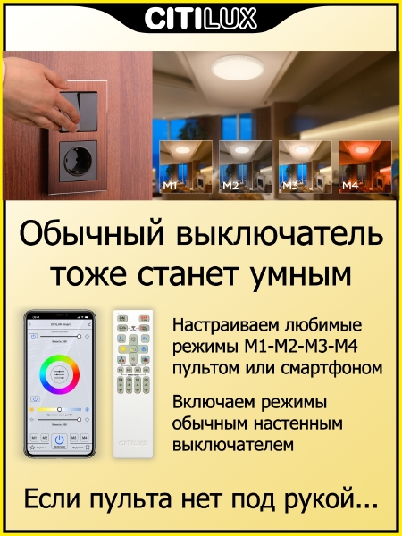 Светильник потолочный Альпина CL718A80G