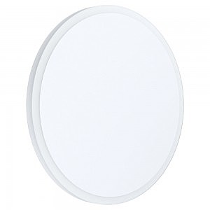 Настенно потолочный светильник Mongodio 1 98657