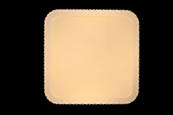 Светильник потолочный Led LED LAMPS 81093