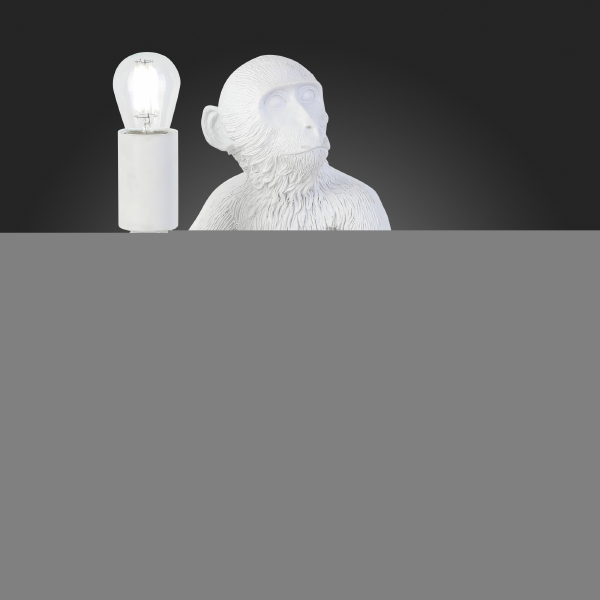 Настольная лампа Tenato SLE115104-01