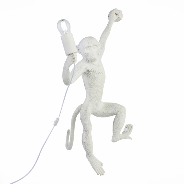 Настенное бра Tenato SLE115111-01