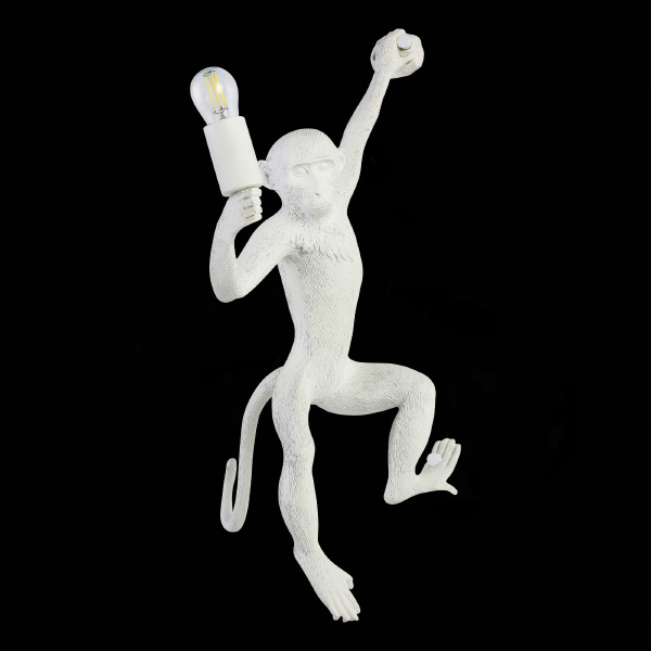 Настенное бра Tenato SLE115111-01