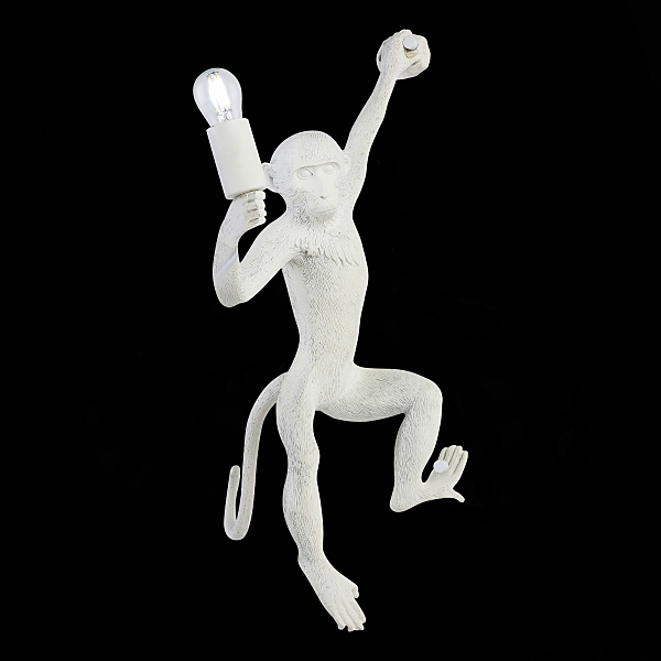 Настенное бра Tenato SLE115111-01