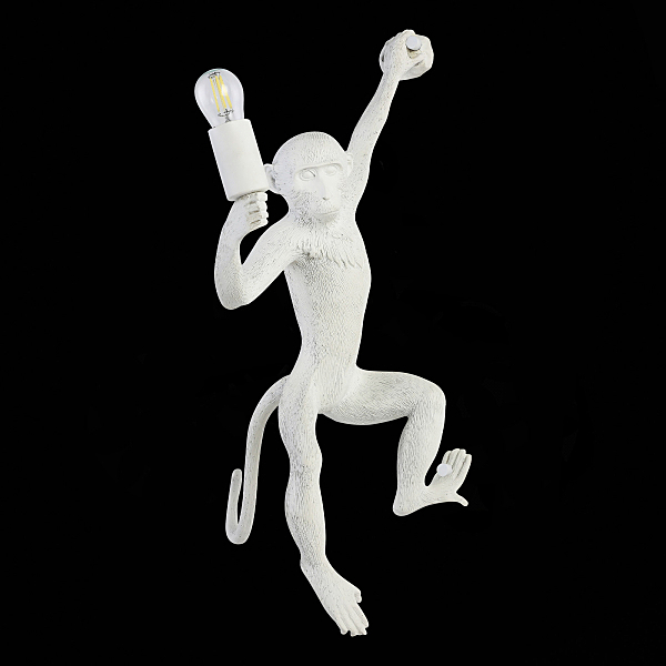 Настенное бра Tenato SLE115111-01