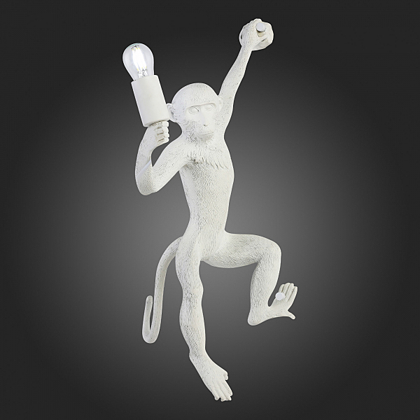 Настенное бра Tenato SLE115111-01