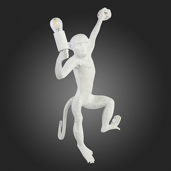 Настенное бра Tenato SLE115111-01