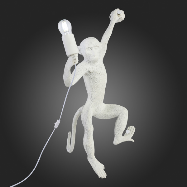 Настенное бра Tenato SLE115111-01