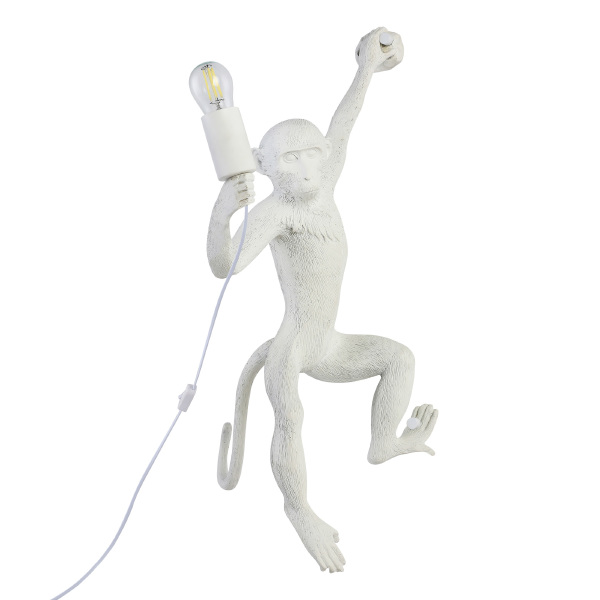 Настенное бра Tenato SLE115111-01