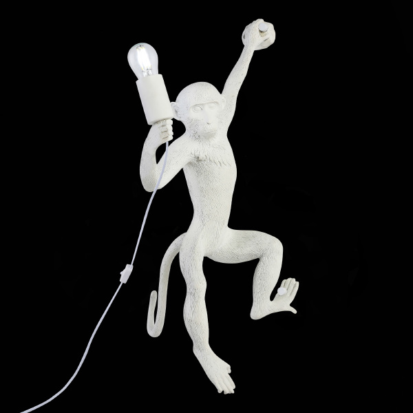 Настенное бра Tenato SLE115111-01