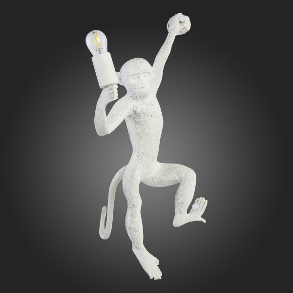 Настенное бра Tenato SLE115111-01