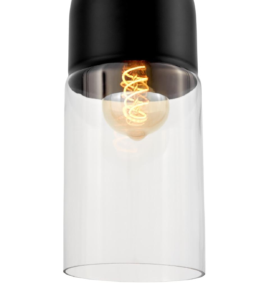 Светильник подвесной Zenia LDP 6806 BK+PR