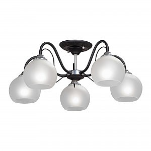 Потолочная люстра Vitaluce V3948-1/5PL