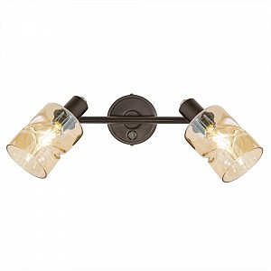 Светильник спот Кингстон CL518520