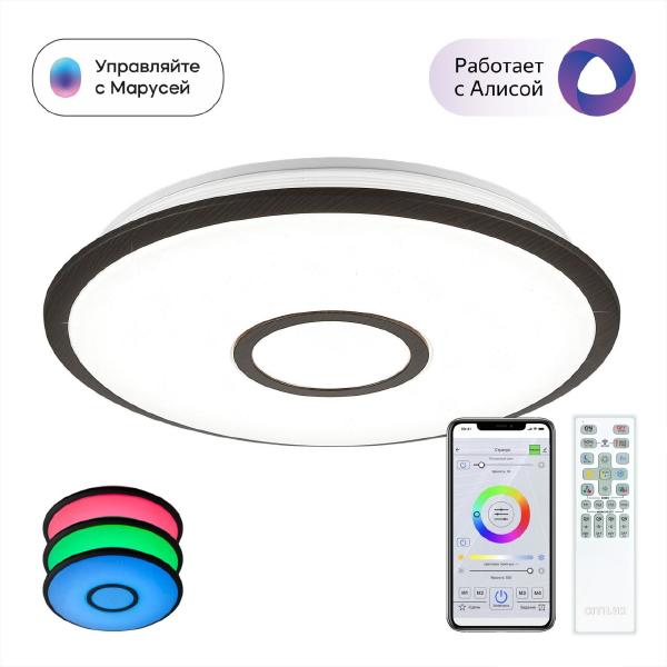 Светильник потолочный Старлайт Смарт CL703A45G