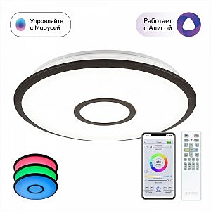 Светильник потолочный Старлайт Смарт CL703A45G