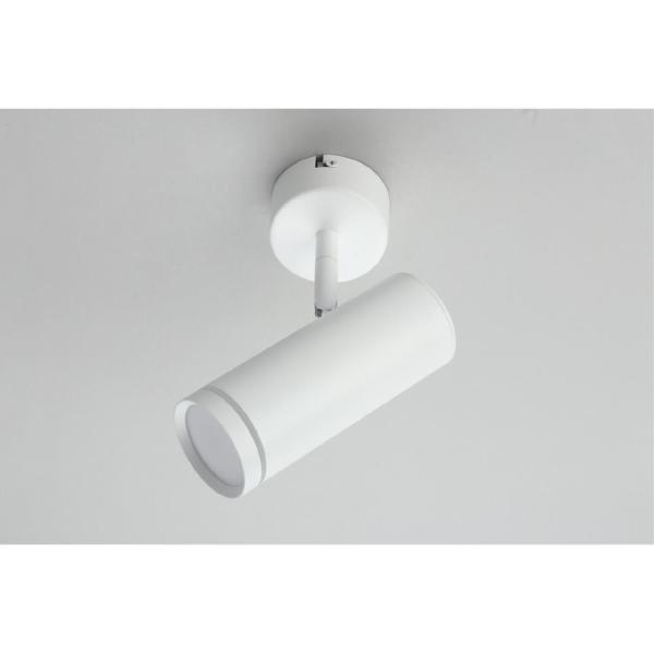 Светильник спот Deruta OML-102219-12