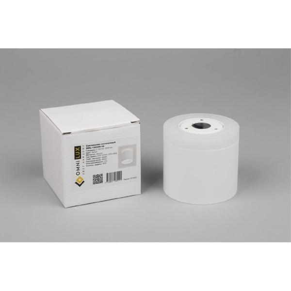 Накладной светильник Tures OML-102309-16